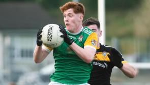 Johnny McGroddy scores nine points in Downings' high-scoring win over Bundoran