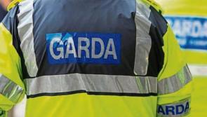 Man arrested as Garda&iacute; investigate fire in Dublin