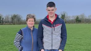 Stevenson Farm in Donegal to host National IGA Sheep Farm Walk 2024
