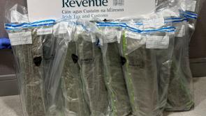 Detector dog Sam sniffs out cannabis concealed in vacuum-packed packages at Dublin Airport