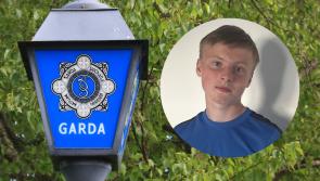 National: Gardai seek help in locating missing teenager