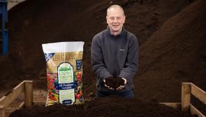 Quigley’s Point business to represent Donegal in national enterprise awards

