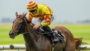 Browne McMonagle, Orr and McAteer all take firsts in lead-in to the weekend 