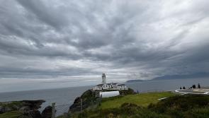Watch: Frolicking dolphins visit Fanad Lighthouse
