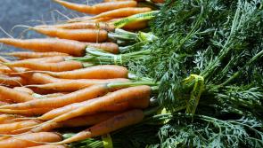 Rossnowlagh Farmers Market announces updates for the autumn
