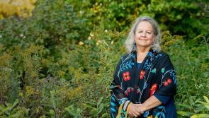 US ecology expert to attend Donegal Bees event
