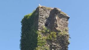 UPDATE: Multi-agency effort sees injured goat rescued from Greencastle tower