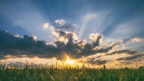 Sunshine and a scattering of showers on the menu for Donegal today
