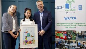 Ardara student makes artistic splash at National Green Schools Water Awards