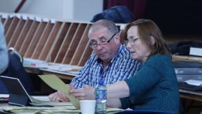 Local Elections: Second count in Donegal LEA sees Derek Vial eliminated