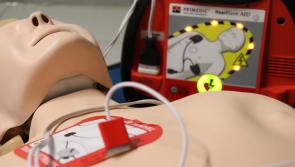 Urgent plea for lifesaving defibrillator to be returned 