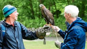 In pictures: Mid-summer celebration of nature in Buncrana&rsquo;s Swan Park