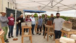 In pictures: Tir Chonaill Stone Festival comes to Ballyshannon

