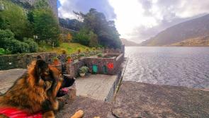 A selection of must-see locations around Donegal