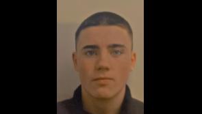 Gardaí issue appeal for missing teenager from County Meath 