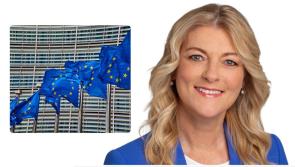 'Don't ditch radio from new cars' Ireland MEP Ní Mhurchú to ask car manufacturers