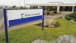 Pringle supports return of election process for Údarás board