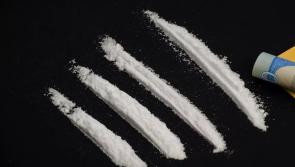 Man took undercover cops to €2,500 drugs cache at Rory Gallagher Festival