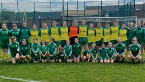 Packie McElwaine hoping Bonagee produces a strong performance against Cabinteely