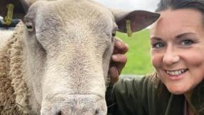 Cutting edge film on regenerative farming at Clonmany festival 