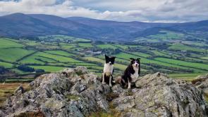 Falcarragh Photographer to host NYC exhibition