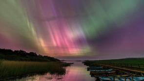 Donegal photographer’s image showcased as part of outdoor exhibition