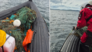 'Six Olympic pool lengths' of illegal fish netting seized in Donegal waters