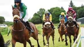 Ballintra Races  return on Bank Holiday Monday after  five year gap