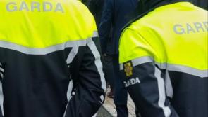 Medical and gardai help needed for local Fanad resident after 'savage' dog attack 