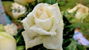 Death notices for Donegal - Saturday morning, August 17