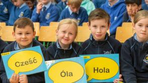 Primary school teachers in Donegal, it’s time to register for the Blue Star Programme