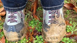 Bluestack Challenge route revised due to unsafe conditions caused by weather