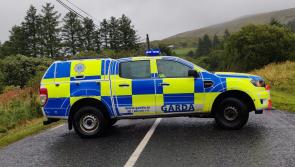 Gardaí renew appeal over Inishowen crash in which teenager lost his life
