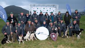Massive turnout for 'fantastic' Irish National Sheep Dog Trials held in Donegal