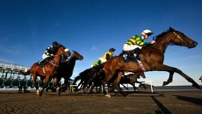Punchestown treble for Dylan Browne McMonagle