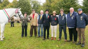 Letterkenny's Charmaine Kee and Gweebarra Realta win at Strokestown Show