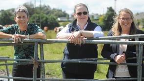 New Bachelor of Veterinary Medicine and Surgery course to be launched at ATU