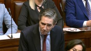 'Let the dog see the rabbit' - Taoiseach faces calls in the Dáil to set election date