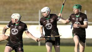 Setanta on the lookout for new senior hurling team boss ahead of 2025 