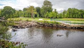 Councillor urges dog walkers to keep pets on leads in Swan Park