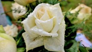 Death notices for Donegal on Friday morning,  October 19