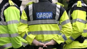 Garda&iacute; on the hunt after van left covered in paint in Donegal