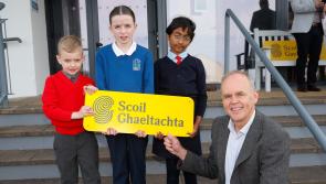 In pictures: 36 Donegal schools presented with Scoil Ghaeltachta recognition
