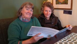 Donegal duo shortlisted for award for groundbreaking children’s book 
