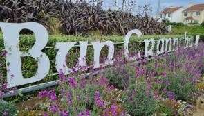 Buncrana crowned as Donegal's tidiest town for the third year in succession