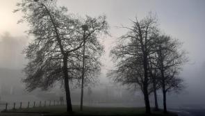 Overnight mist and fog will gradually clear most areas in Donegal today