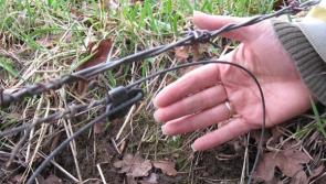 Warning of illegal snares in Fanad area posing danger to pets and wildlife