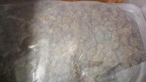 Two men arrested after €40,000 cannabis raid in Inishowen