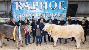 In pictures: Raphoe Livestock Mart Annual Fatstock show and sale