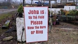 'Yer living in Donegal when buying Christmas trees and there's a sign like this'
